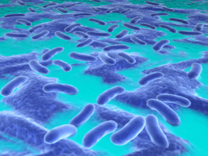 36629192 - bacteria in the liquid