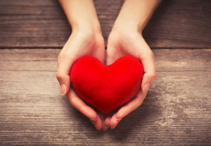 36353392 - female hands giving red heart