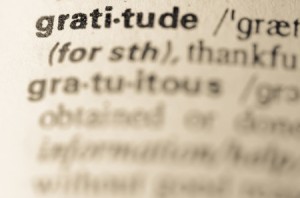 36798008 - definition of word gratitude in dictionary