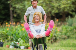 42183797 - happy senior couple playing with a wheelbarrow in a sunny day