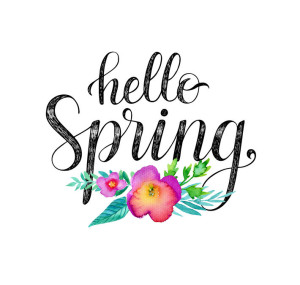 53169167 - hello spring. hand drawn phrase and watercolor flowers.