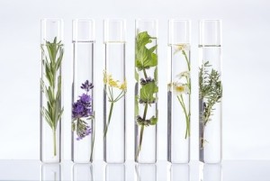 45659227 - scientific experiment - flowers and plants in test tubes