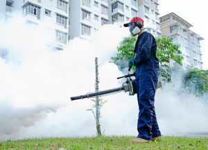 13505881 - environmental health workers are fogging for dengue control