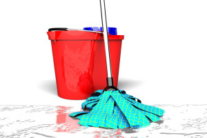 24172662 - bucket and wet mop
