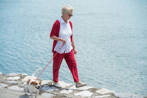 33163445 - senior woman walking her dog
