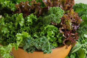 67008172 - close-up of healthy greens in a salad bowl