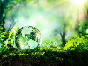 41378329 - crystal globe on moss in a forest  environment concept
