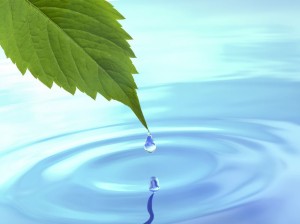 13906408 - drop fall from leaf on ripple water  3d