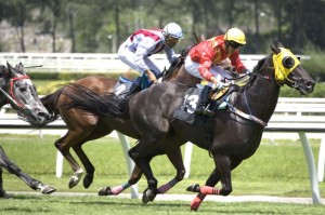 721106 - horse racing