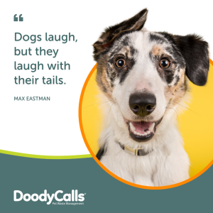 Dogs laugh, but they laugh with their tails