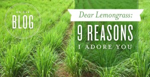 YL Lemongrass blog