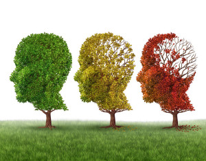 38697289 - memory loss and brain aging due to dementia and alzheimer