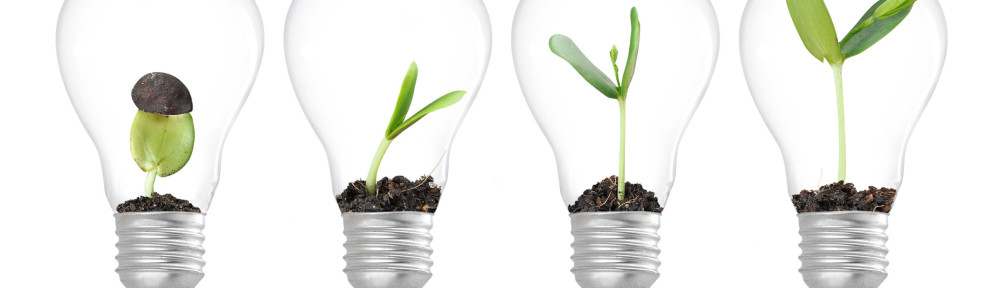 50213182 - plant growing in lightbulb , ecology ideas growth concept