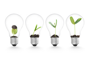 50213182 - plant growing in lightbulb , ecology ideas growth concept
