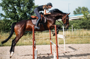 84440862 - young female jockey on horse leaping over hurdle