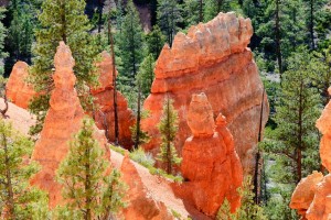 12069134 - rock formations called hoodoos, bryce canyon np, utah, usa