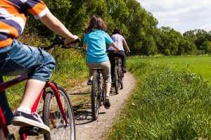 15402402 - family riding bikes