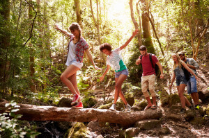 41461703 - group of friends on walk balancing on tree trunk in forest