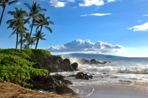 46284763 - tropical hawaiian beach with palm trees