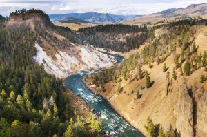 Yellowstone canyon