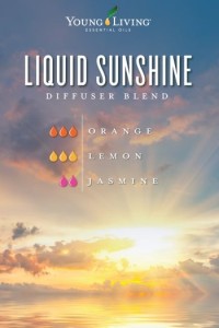 YL blog-14-things-Orange-essential-oil-lovers-have-to-try_Diffuser-blend
