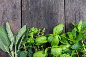 Fresh herbs from garden