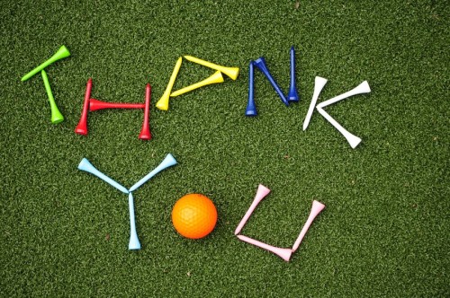 5400914 - golf tees spell out thank you