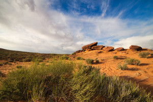 Red Rock Desert Landscape of Utah in the Iconic American Southwe