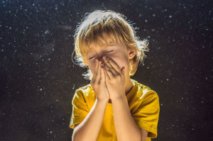 Allergy to dust. Boy sneezes because he is allergic to dust. Dust flies in the air backlit by light