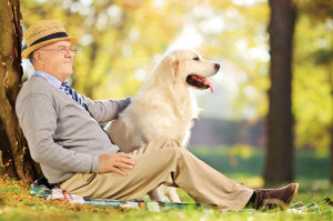 Senior gentleman and his dog sitting on ground in park