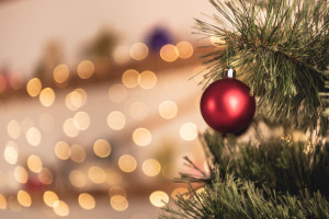 cropped image of christmas tree with red toy in room