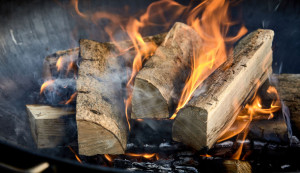 Recently lit fire with logs of flaming wood