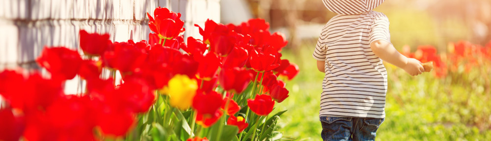 Little child walking near tulips on the flower bed in beautiful spring day