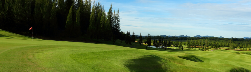 DNU - Good Time Golf Image