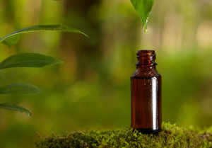Dripping essential oil into a bottle from leaf.
