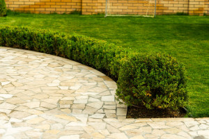 mowed lawns with shrubs near the stone walkway