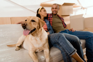 african american couple with labrador dog resting on sofa