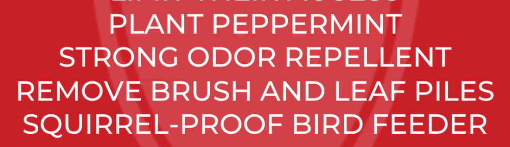 DNU - Predator Guard CANVA (2)