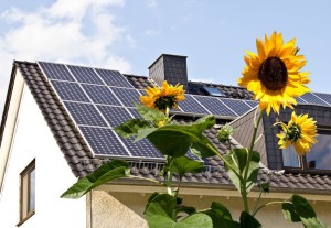 10836347 - solar cells on a roof with sun flowers in the foreground