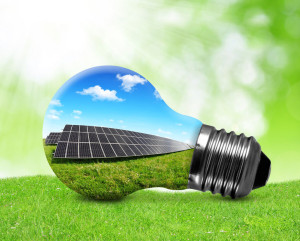 31531356 - solar panels in light bulb. green energy concept.