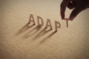 ADAPT wood word on compressed or corkboard with human's finger at T letter.