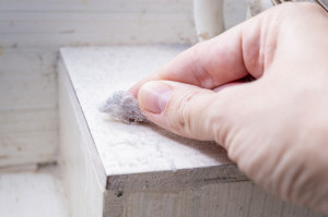 Hand holding a lot of dust in bathroom, dusty home house concept