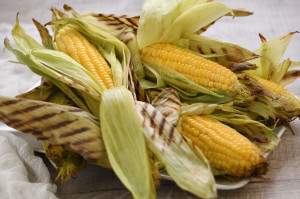 Corn on the cob grilled