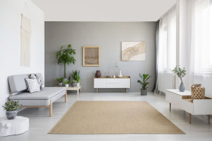 Brown carpet between white cupboard and sofa in grey living room interior with posters. Real photo