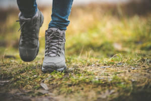 shoes in a forest