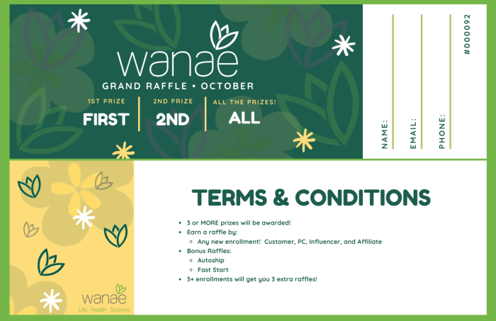 Wanae Grand Raffle