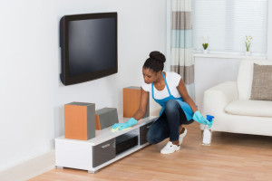 Woman Cleaning Living Room