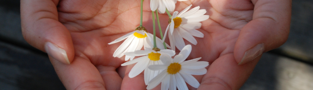 DNU - Coaching With Cassandra Branded Post CANVA (5)