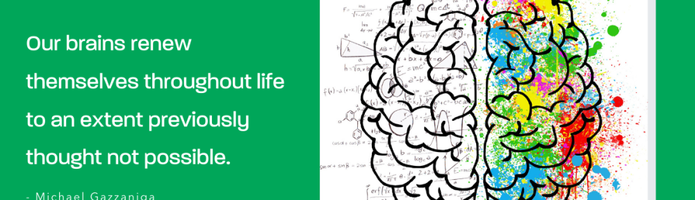 DNU - Symmetry Neuro-Pathway Training Branded Post CANVA