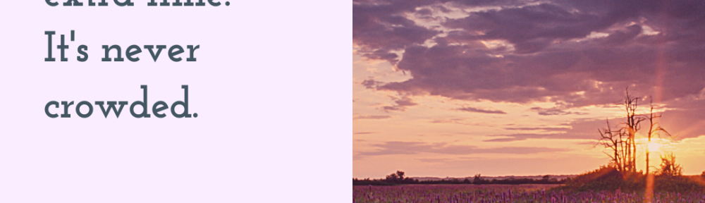 DNU - Ulrika Belline Branded Post CANVA (5)